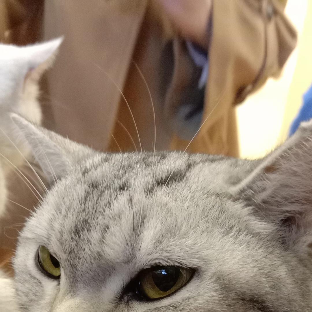 爱喝柠檬水♡♡