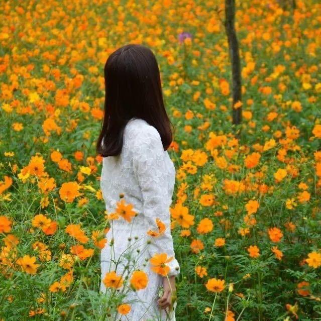 辣椒不怕辣