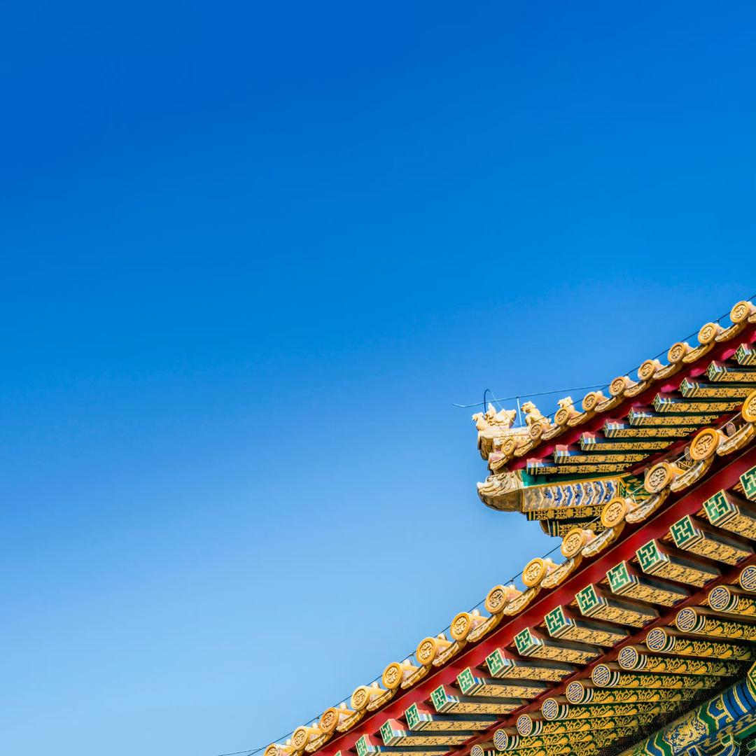 热带雨林团购推荐