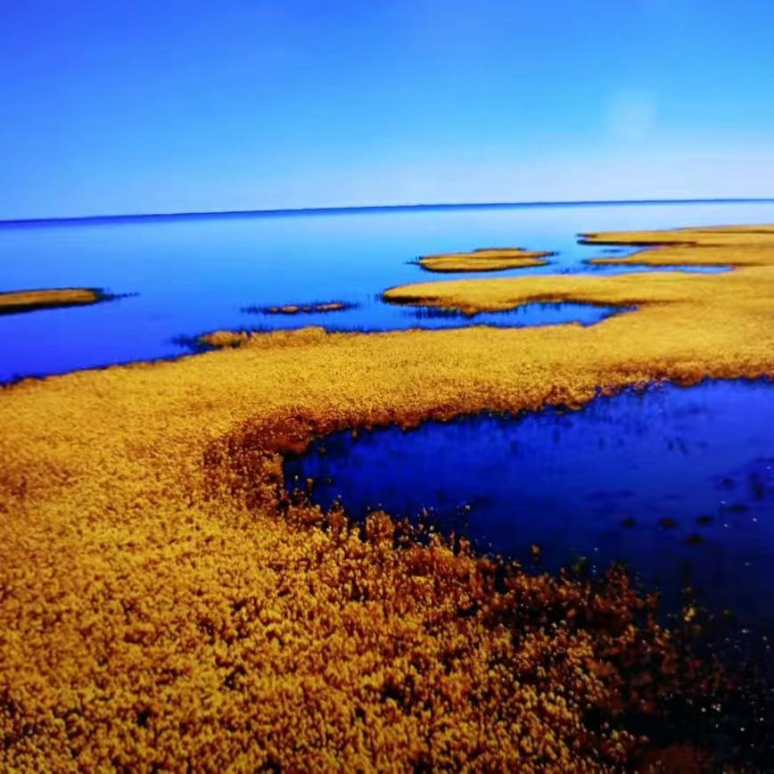 走进阿拉善额济纳旗