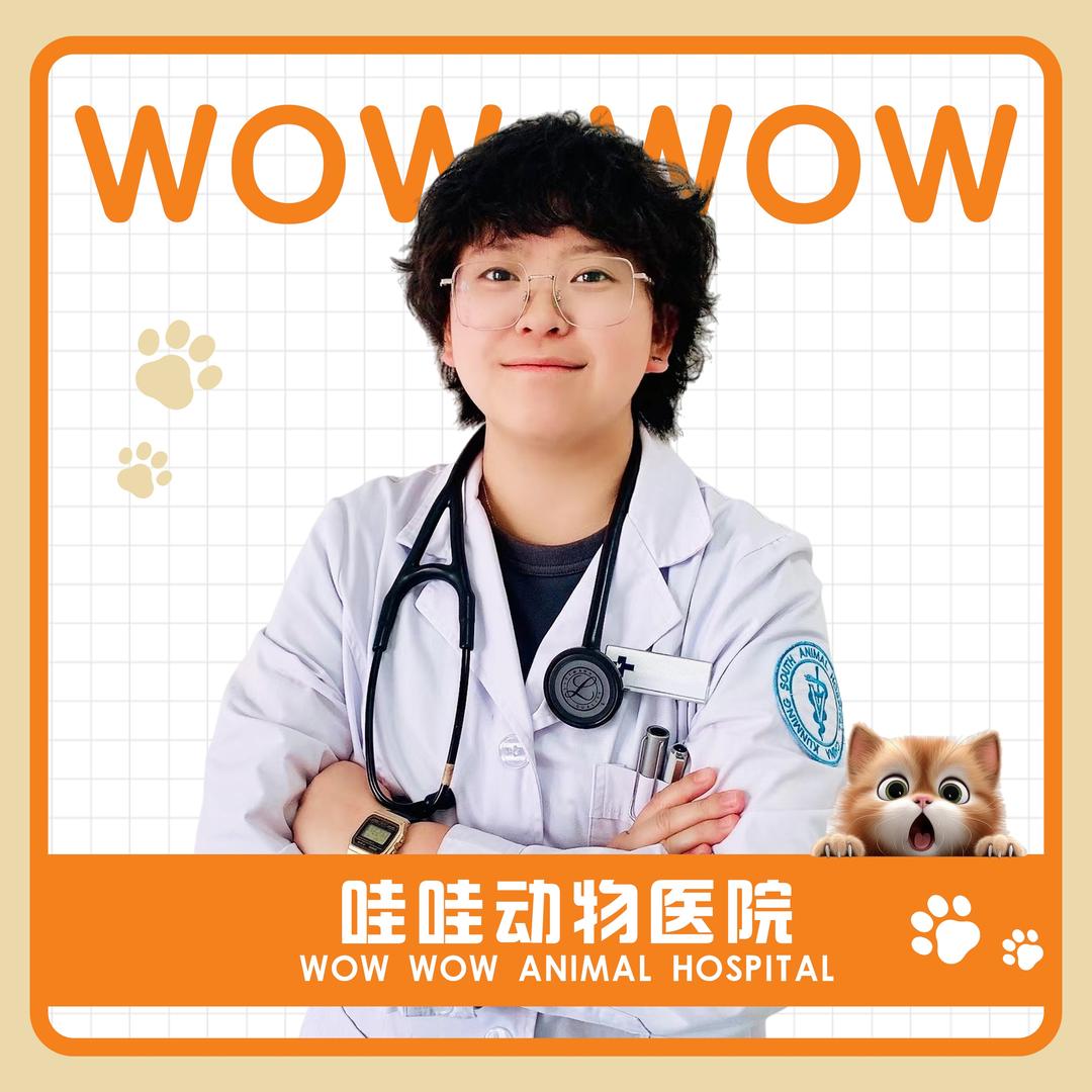 哇哇动医谭