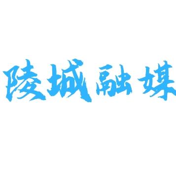 陵城广电网站