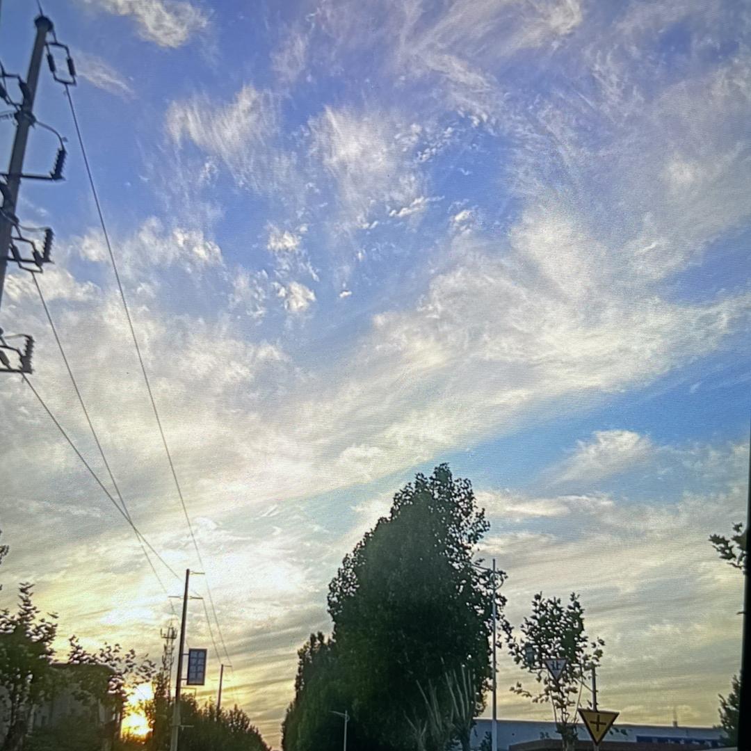 肖老师体重管理