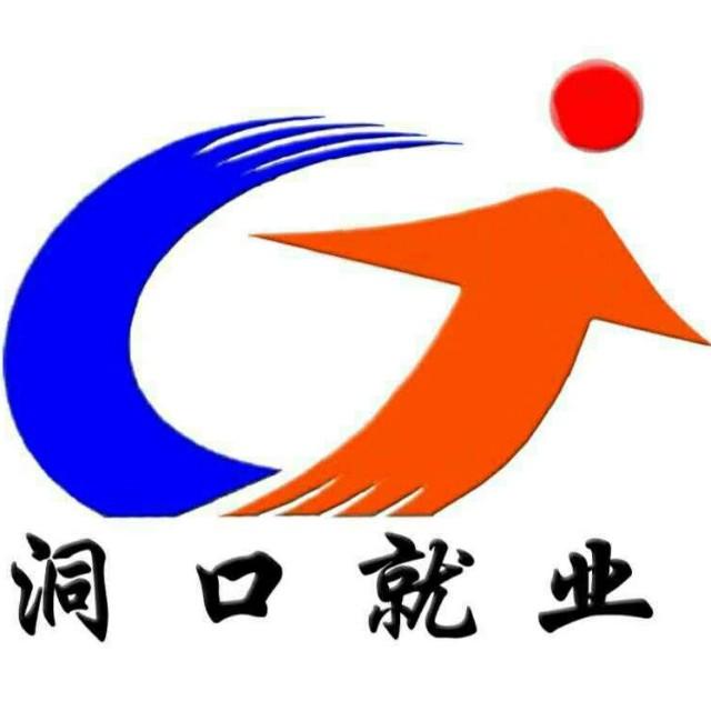 洞口就业