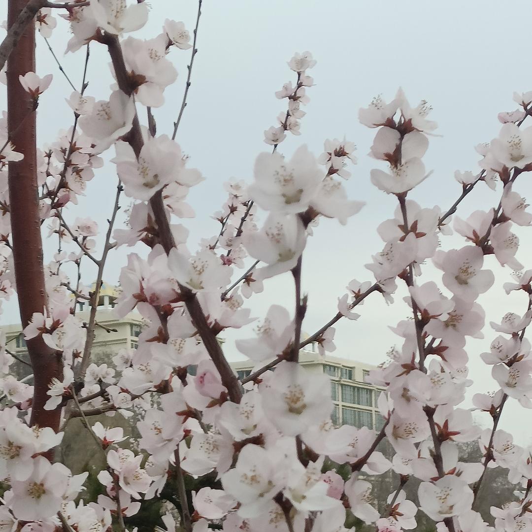 染庄光华店温柔善良