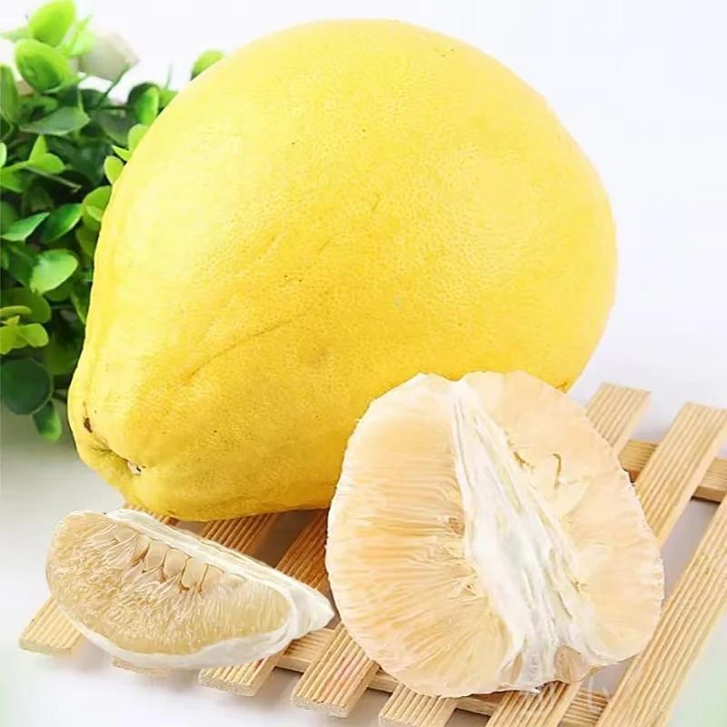 正宗广西容县沙田柚产【冲量中】