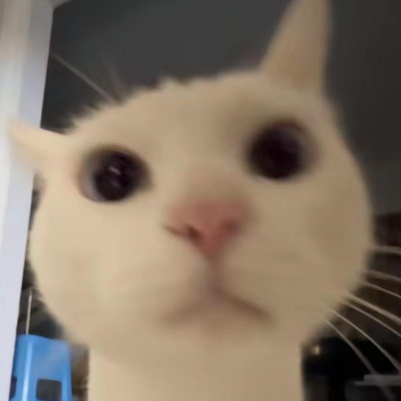 易烊根玺