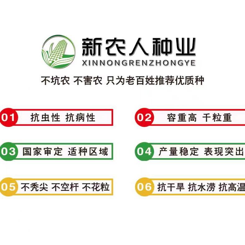 新农人种业推广部