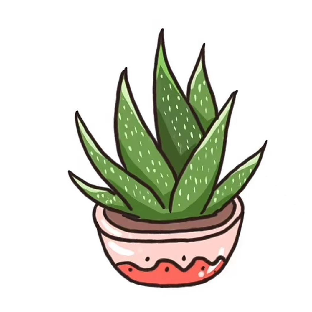 芦荟🍃