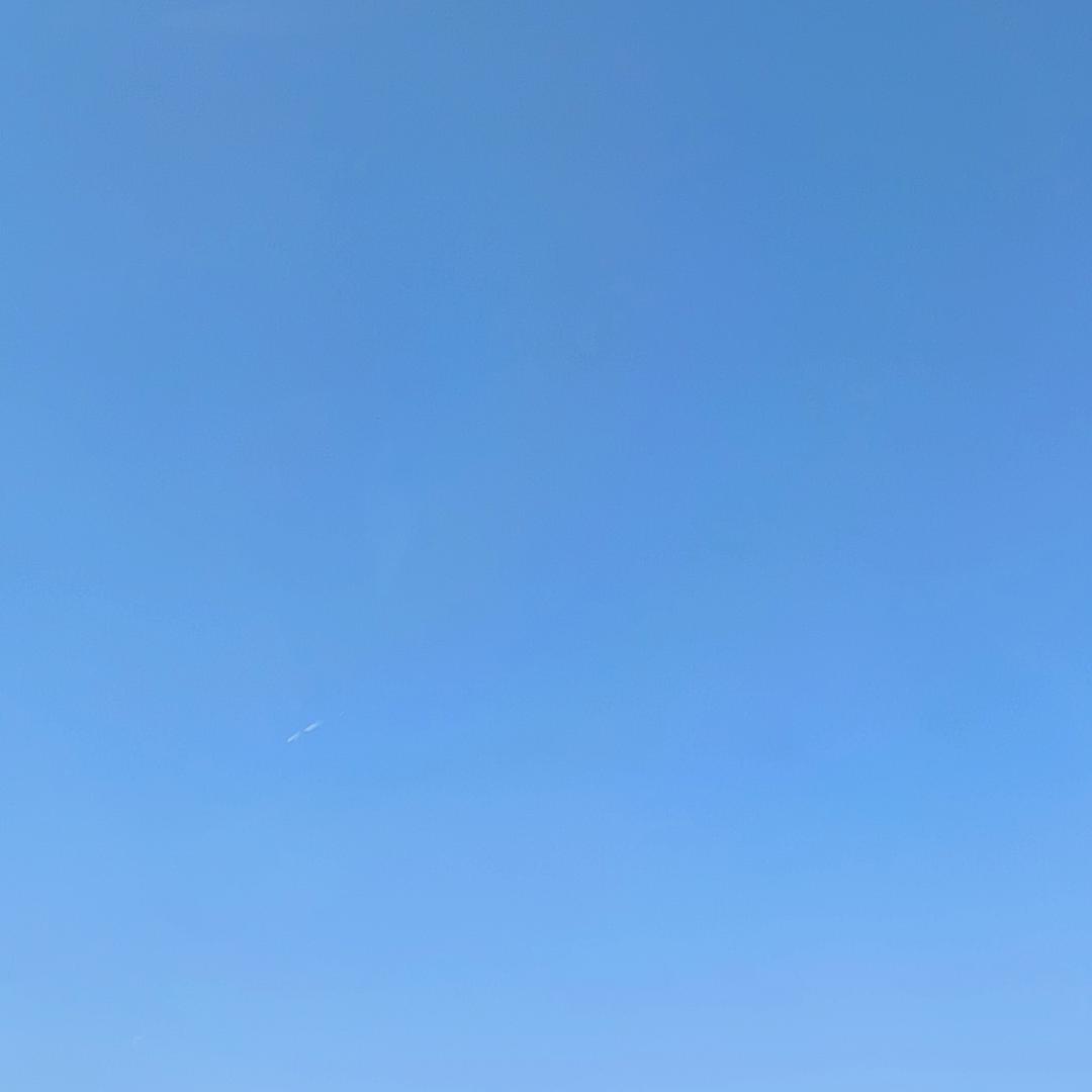 阿杜D