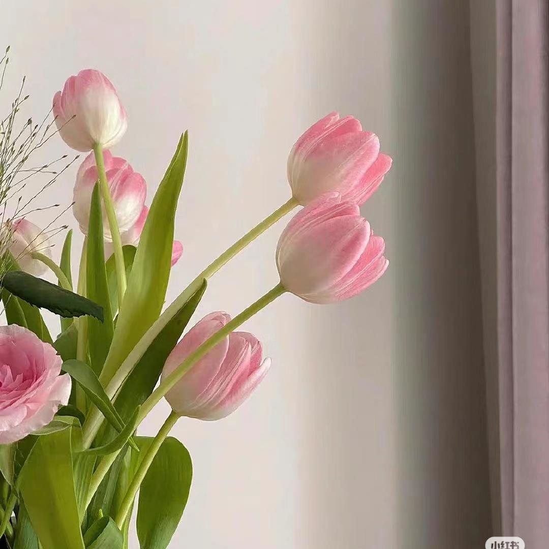 ᦗ日落弥漫的橘🍊