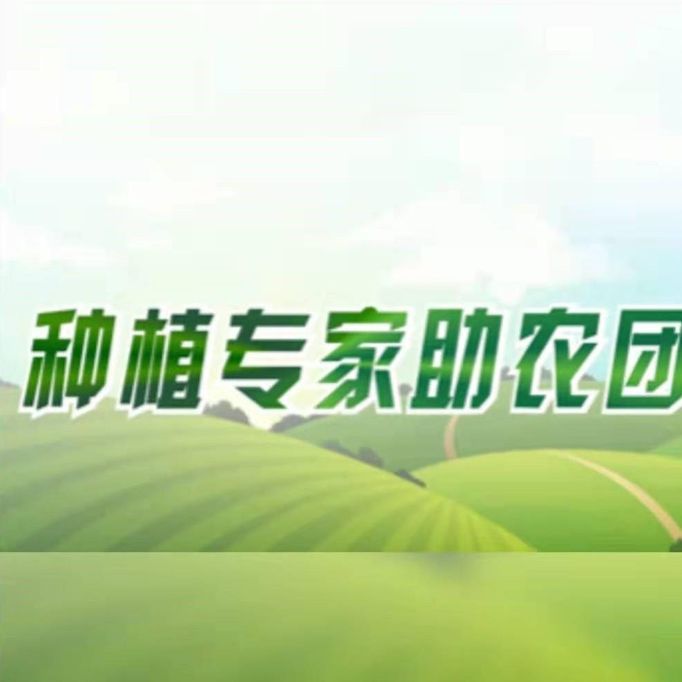 种植专家助农团