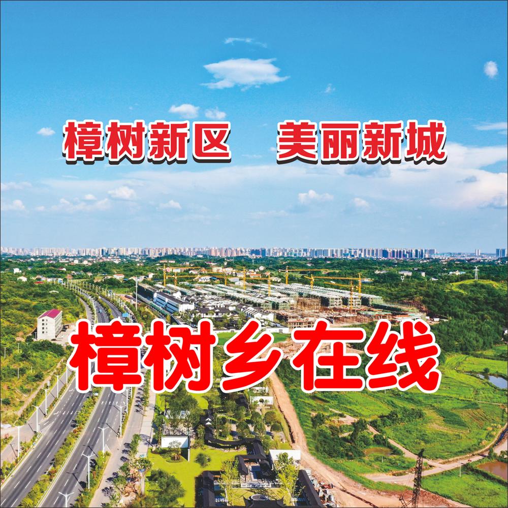樟树乡在线