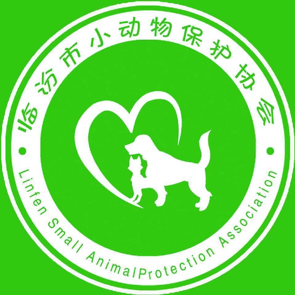 临汾市小动物保护协会