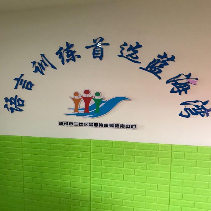 蓝海湾.语言康复.自闭症社交干预.感统