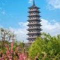 诚信为本9661
