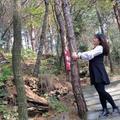 qin,儿