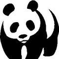 熊猫看看