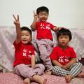 吉祥三宝60733