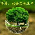 海之韵