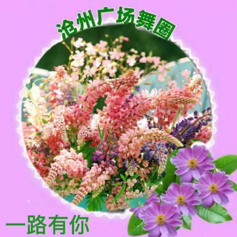 一路有你山顶上舞者