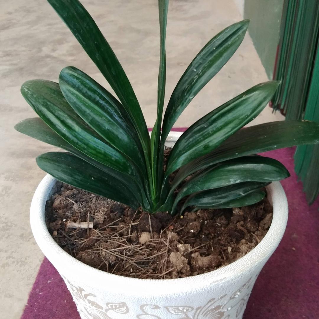 相识是缘分