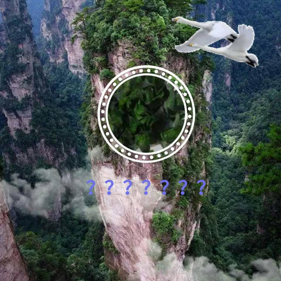 你好_1776200