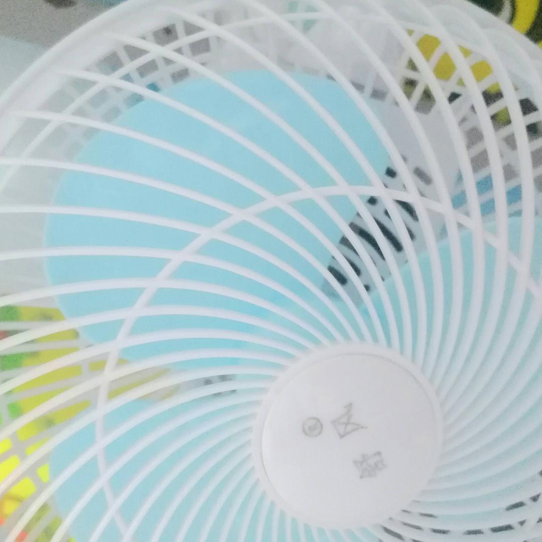 有情友谊