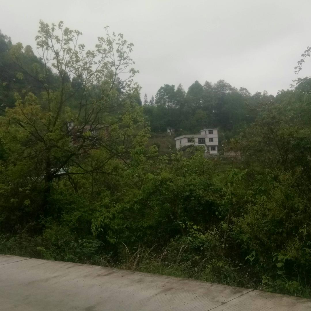 一马当先37149