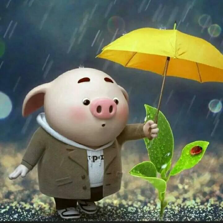 👉我家👈小哥💋