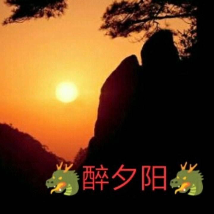 醉夕阳