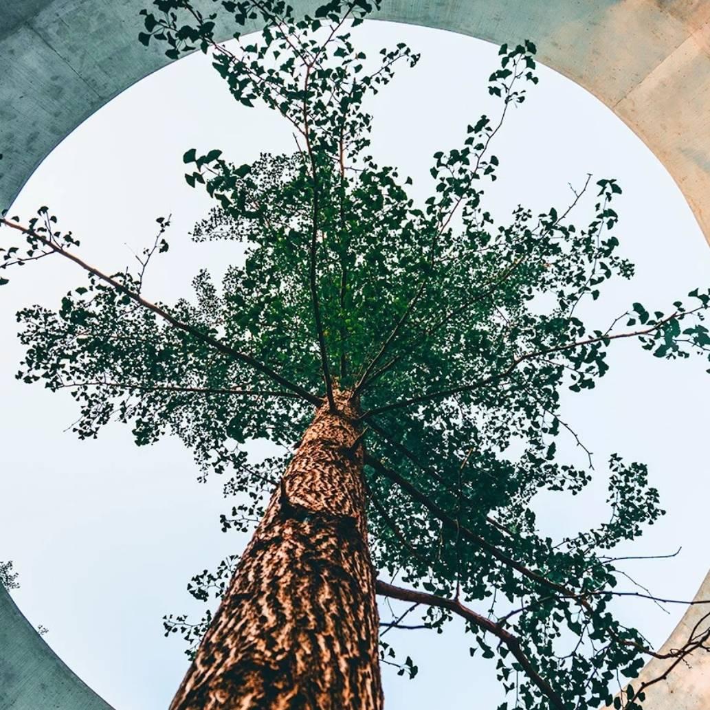 川奇麻辣香锅（许昌360店）