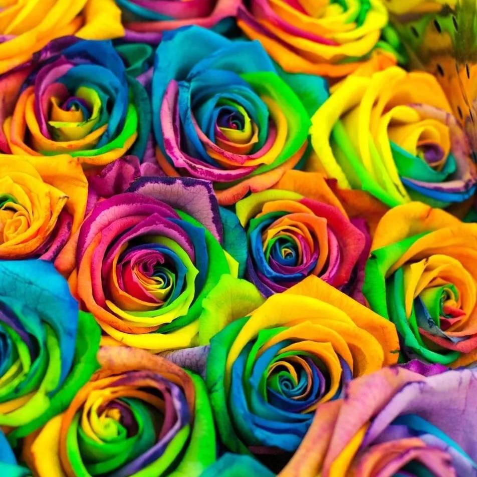 מ封心💘锁爱מ