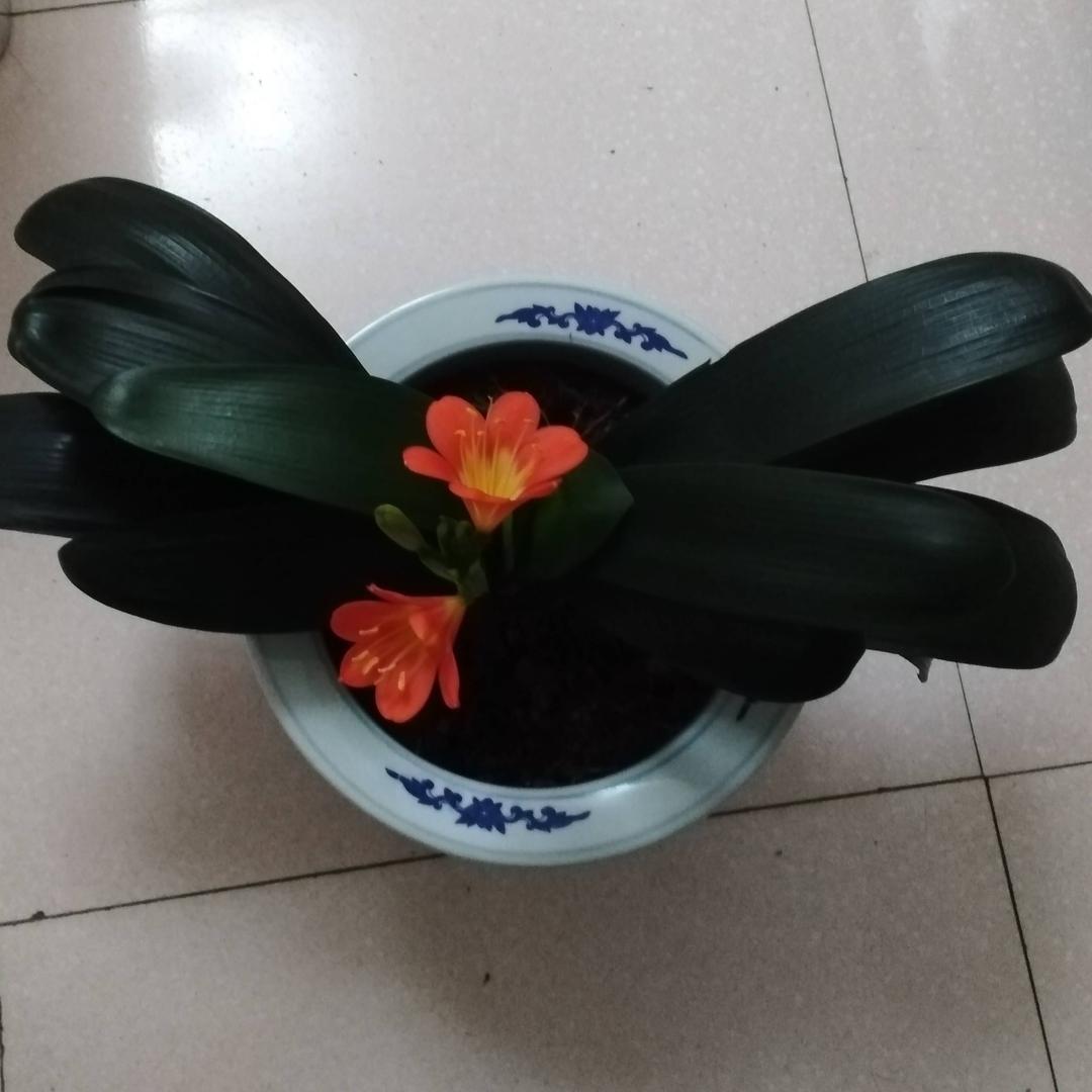 🤗过好每一天