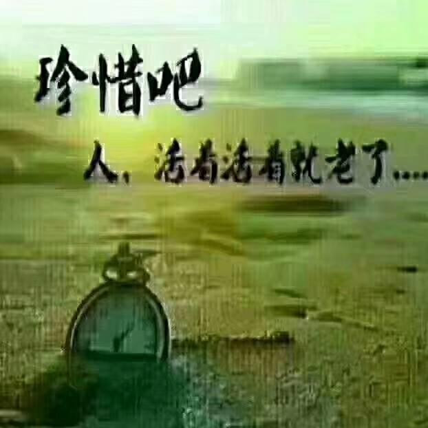 静待花🌺儿开