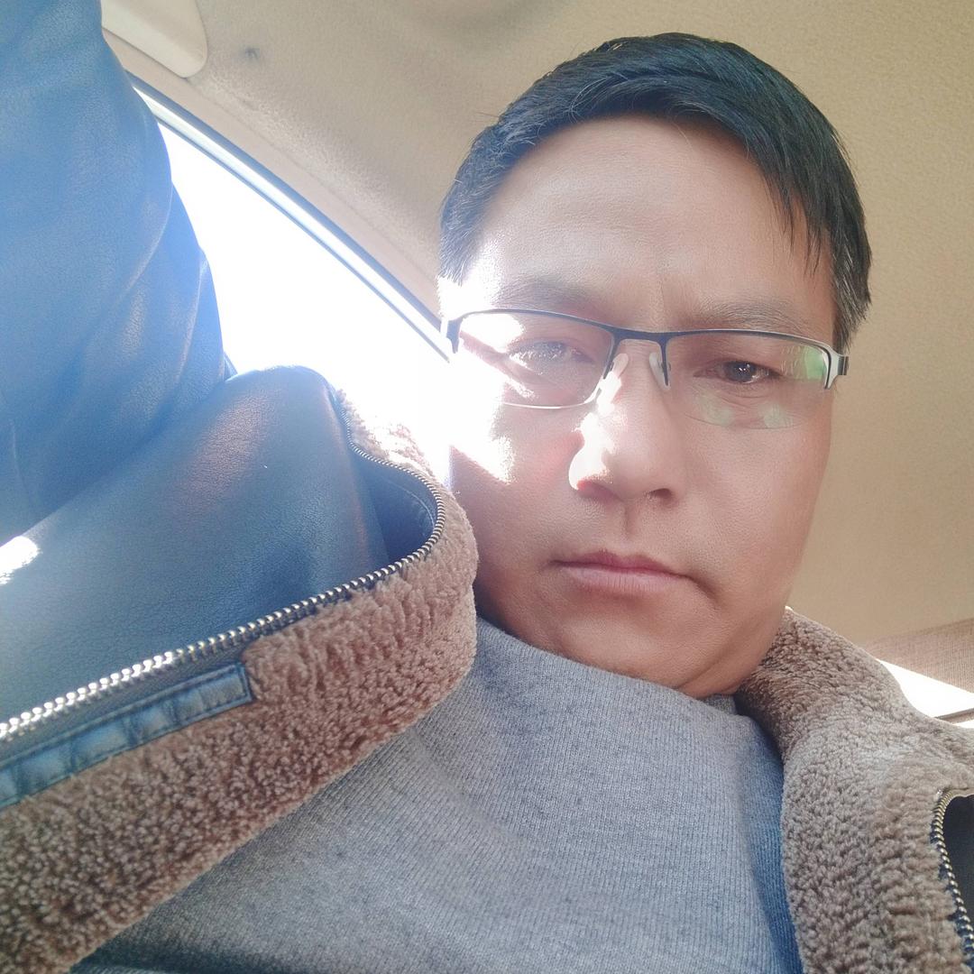 唐古拉你杨哥