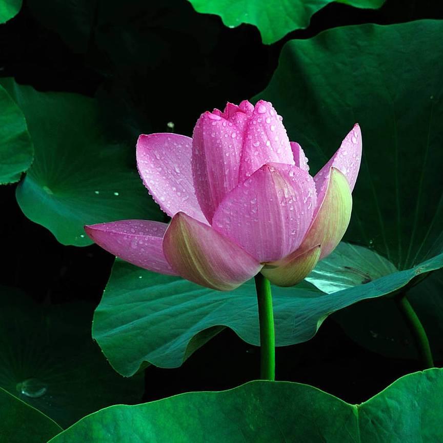 💕不忘初心…💕