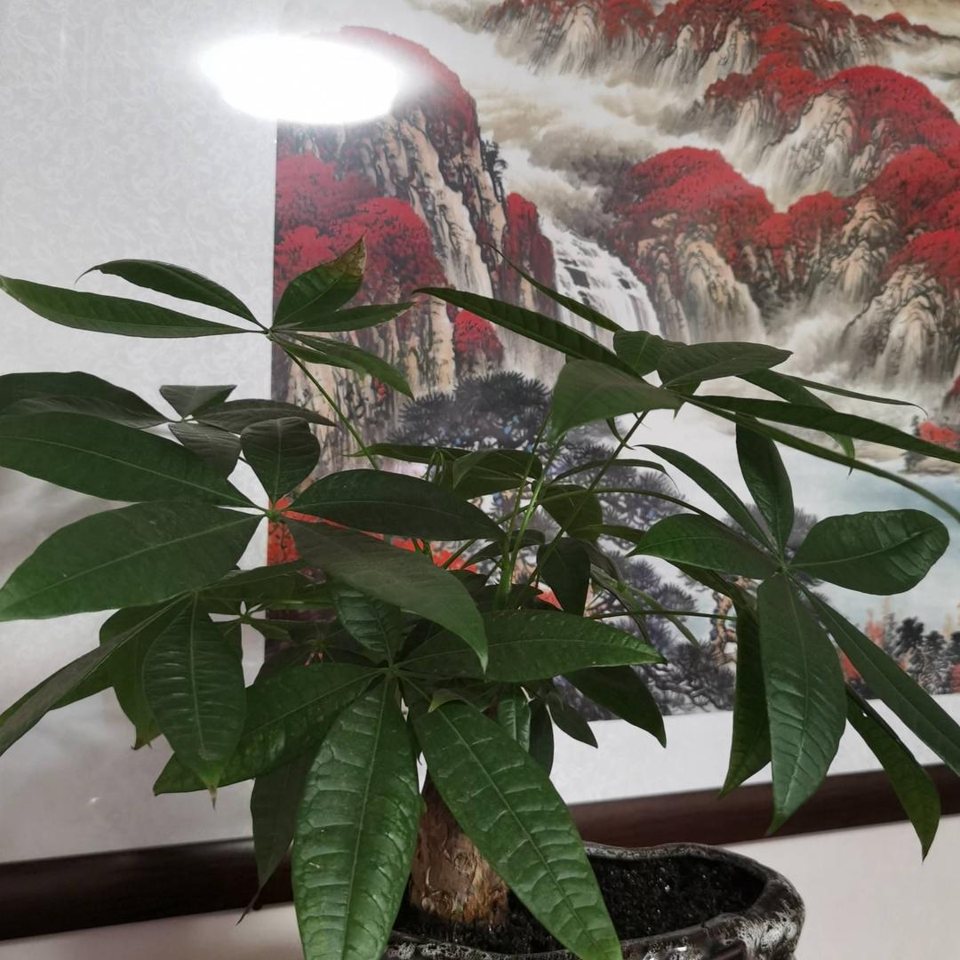与世无争