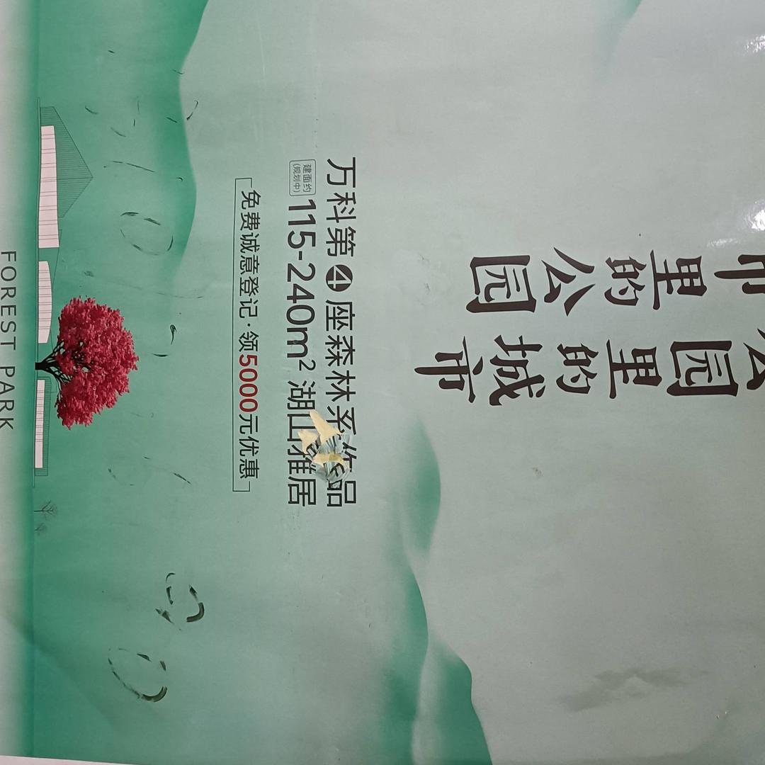 芳顺哥