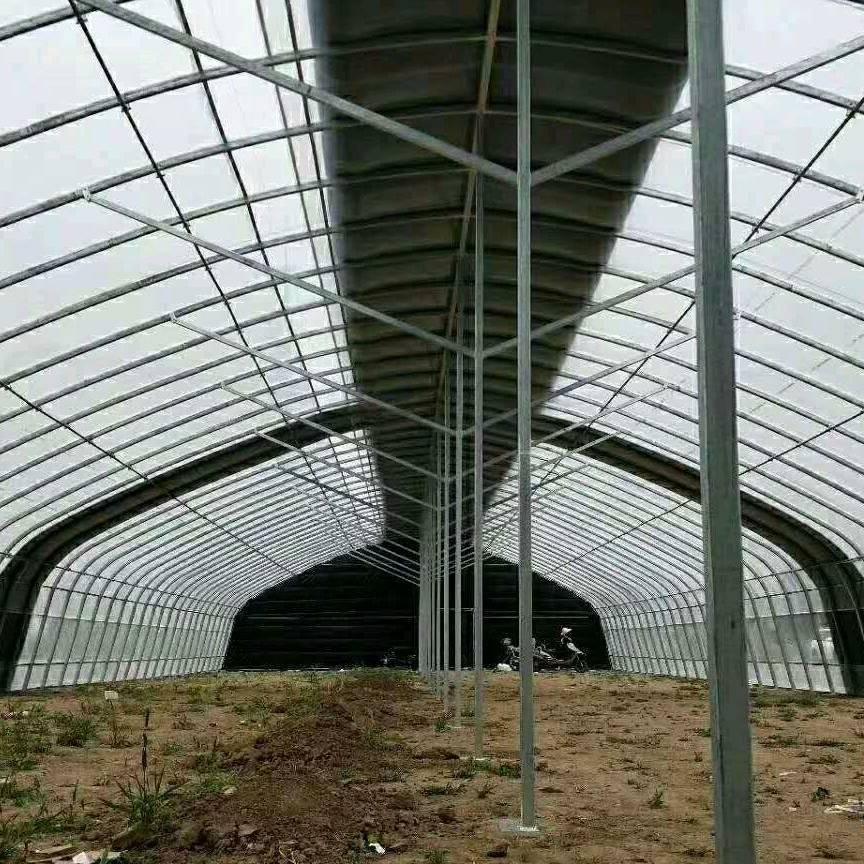 天津温室骨架厂张翔宇