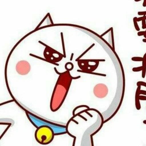 兔歌