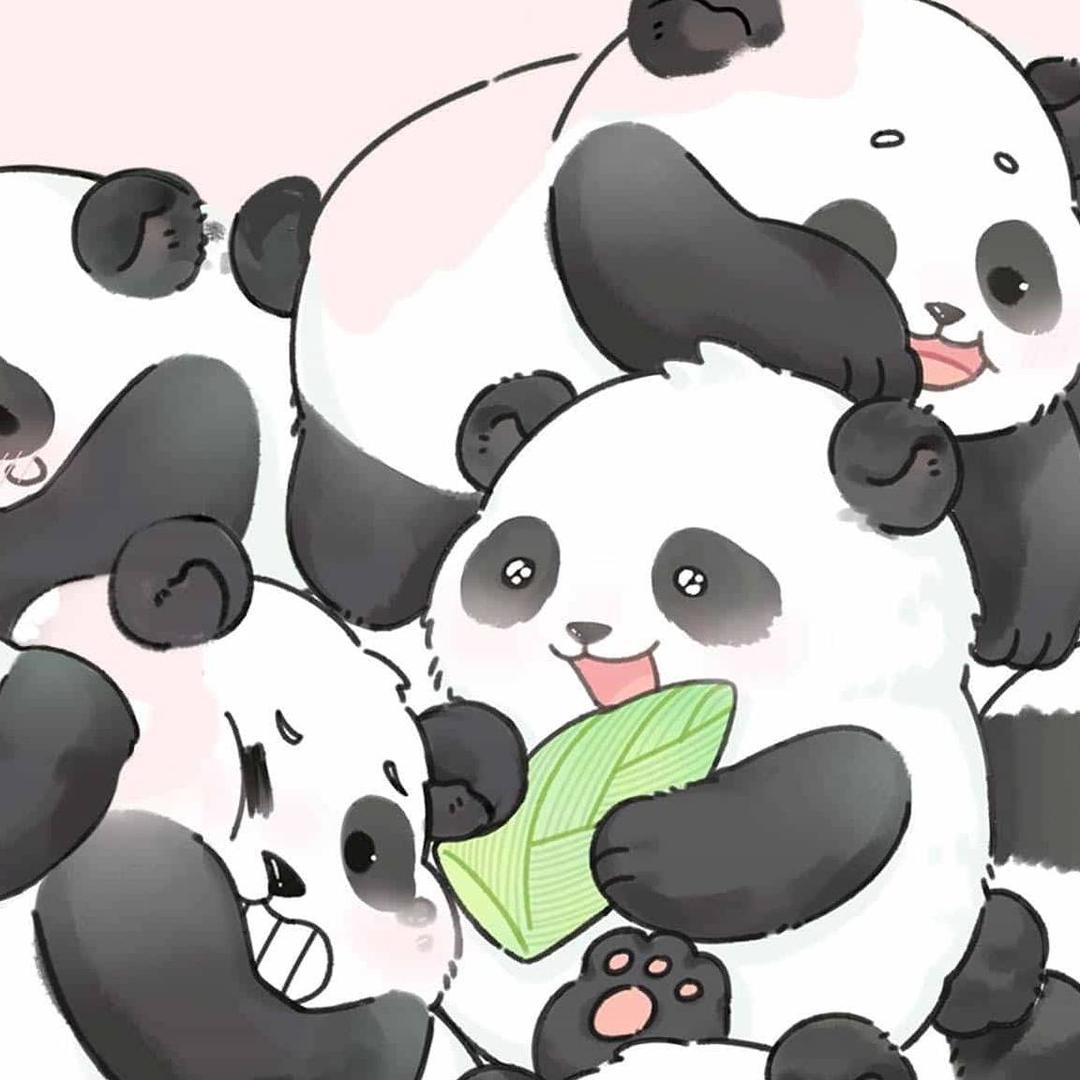 恶魔豆蔻