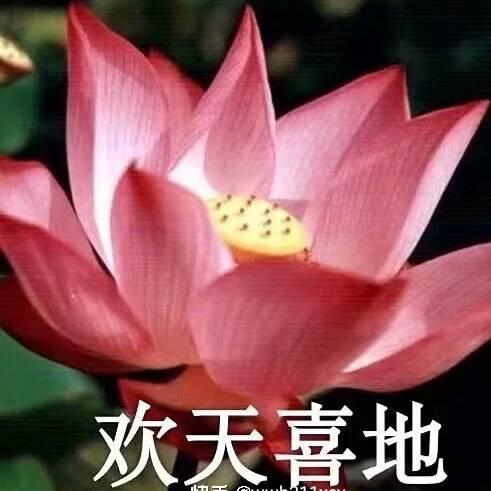 七妹@