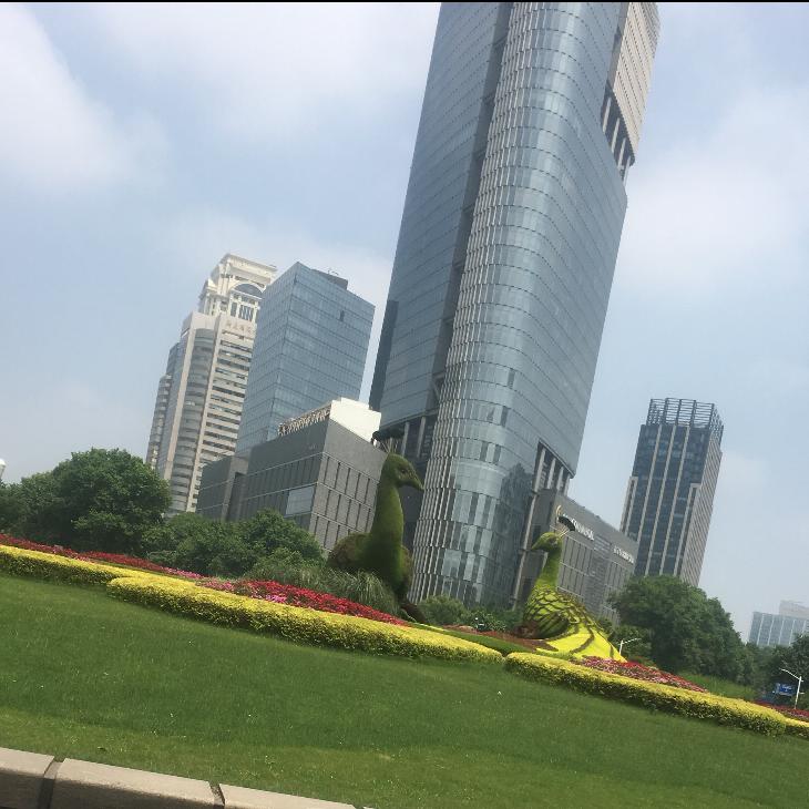用户20255465