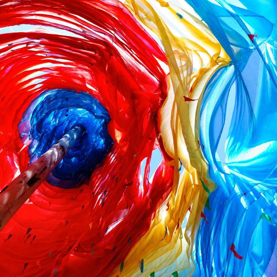 每天开心 🌻🌺