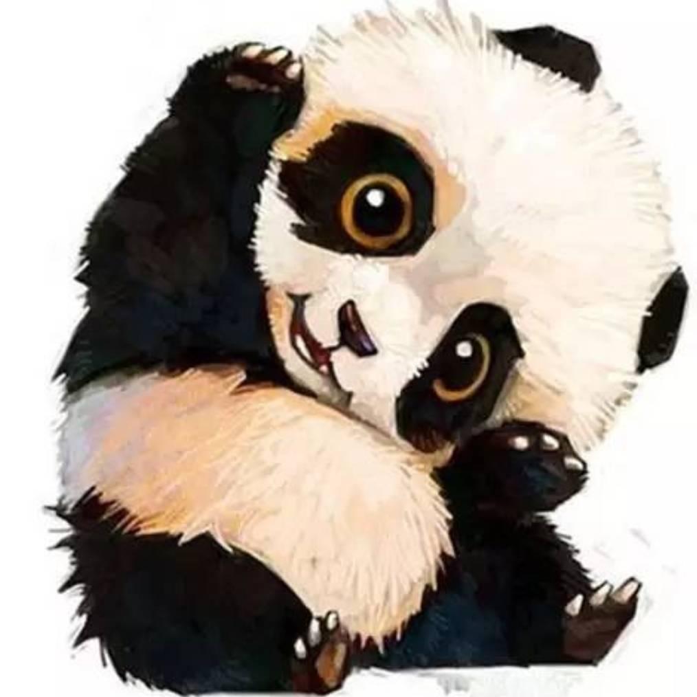 陪你走天涯