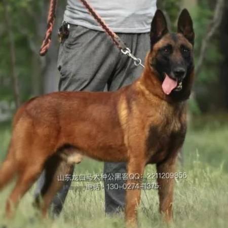 周春伟👣👣是真名