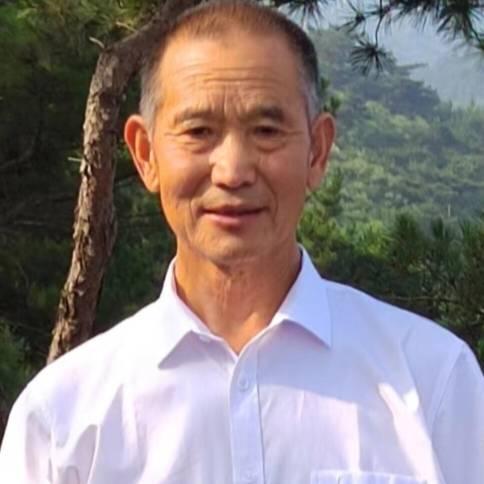 情系山中