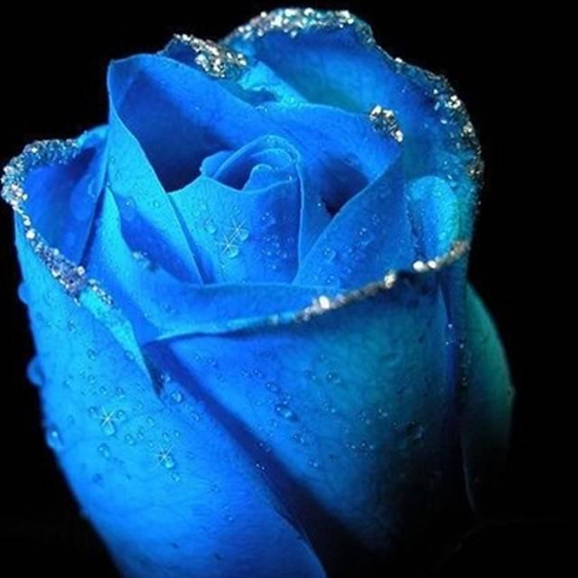 冰雪融心💕
