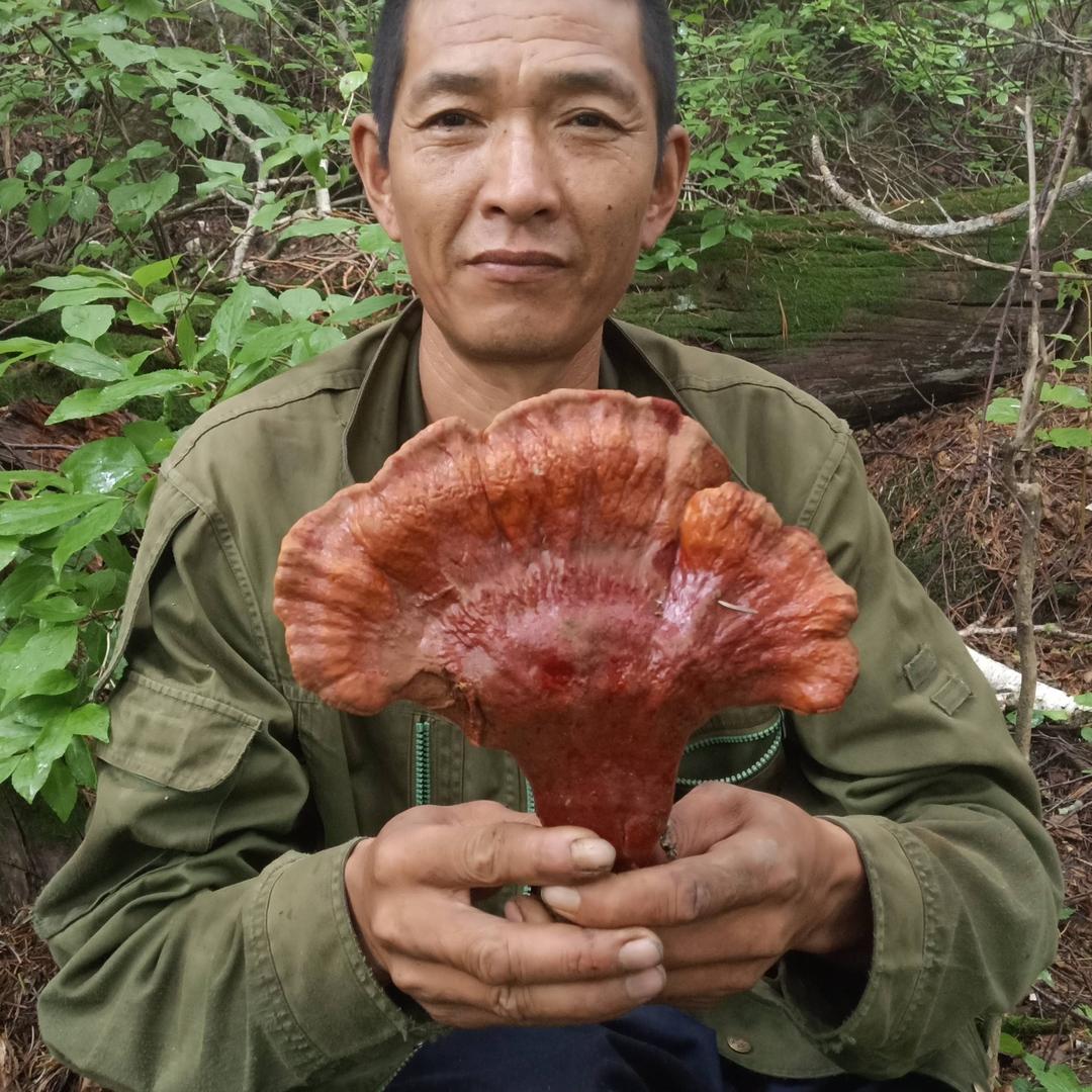 金手指独行侠